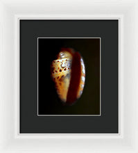 Load image into Gallery viewer, Sea Fragment XVII - Framed Print by Ryan Hopkins