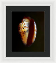 Load image into Gallery viewer, Sea Fragment XVII - Framed Print by Ryan Hopkins