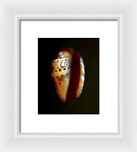 Load image into Gallery viewer, Sea Fragment XVII - Framed Print by Ryan Hopkins