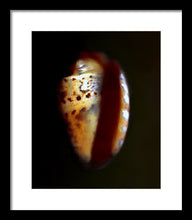 Load image into Gallery viewer, Sea Fragment XVII - Framed Print by Ryan Hopkins