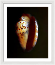 Load image into Gallery viewer, Sea Fragment XVII - Framed Print by Ryan Hopkins