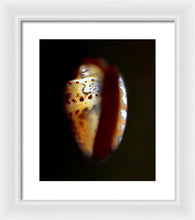 Load image into Gallery viewer, Sea Fragment XVII - Framed Print by Ryan Hopkins