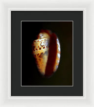 Load image into Gallery viewer, Sea Fragment XVII - Framed Print by Ryan Hopkins