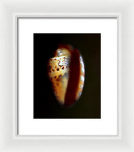 Load image into Gallery viewer, Sea Fragment XVII - Framed Print by Ryan Hopkins