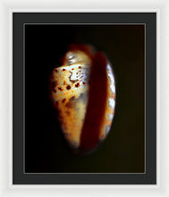 Load image into Gallery viewer, Sea Fragment XVII - Framed Print by Ryan Hopkins