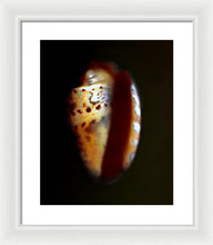 Load image into Gallery viewer, Sea Fragment XVII - Framed Print by Ryan Hopkins