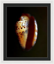 Load image into Gallery viewer, Sea Fragment XVII - Framed Print by Ryan Hopkins