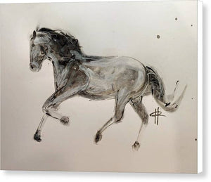 Unbridled -Ink Sketch of a Horse on Canvas by Ryan Hopkins